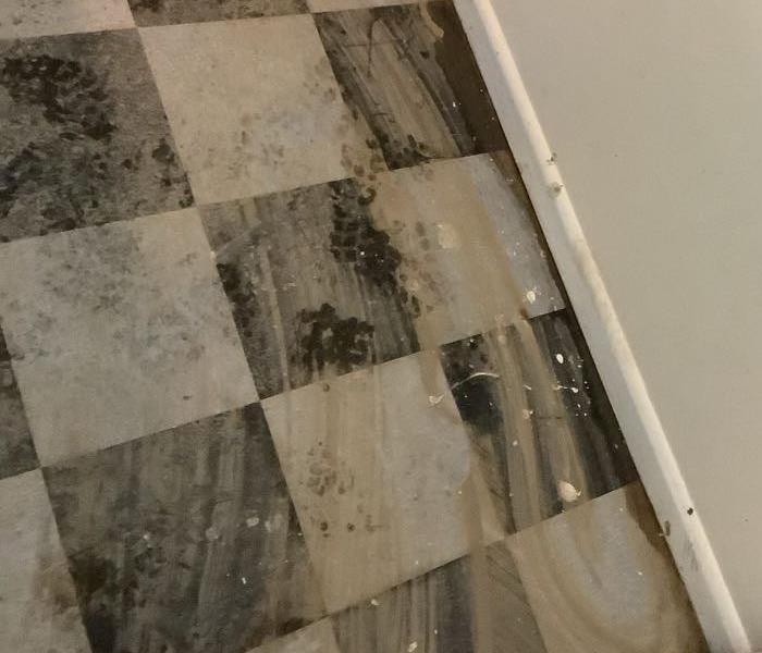 black and white floor covered with sediment