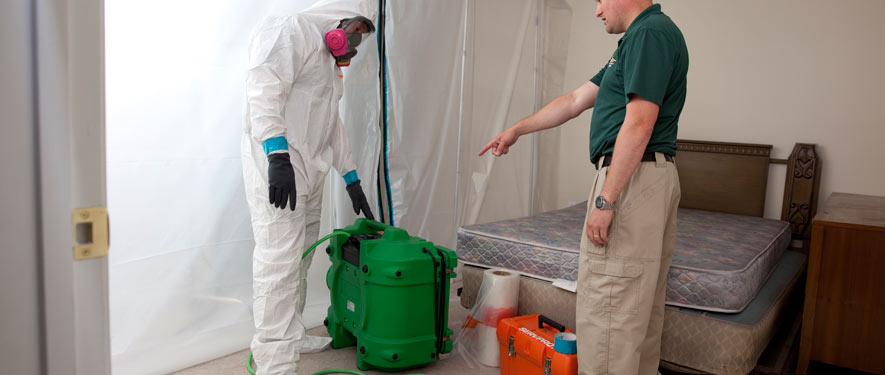 Annapolis, MD mold removal process